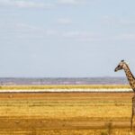 2 DAYS TSAVO EAST